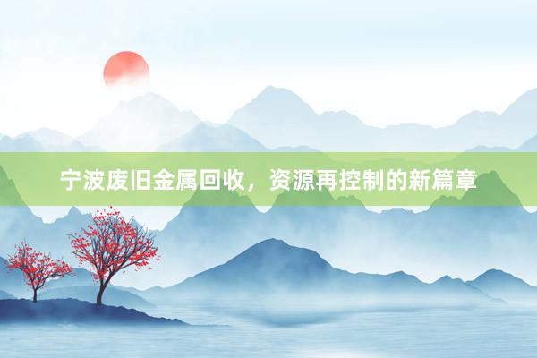 宁波废旧金属回收，资源再控制的新篇章
